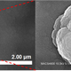 Illustration for article titled This Is What A Speck Of Space Dust Actually Looks Like